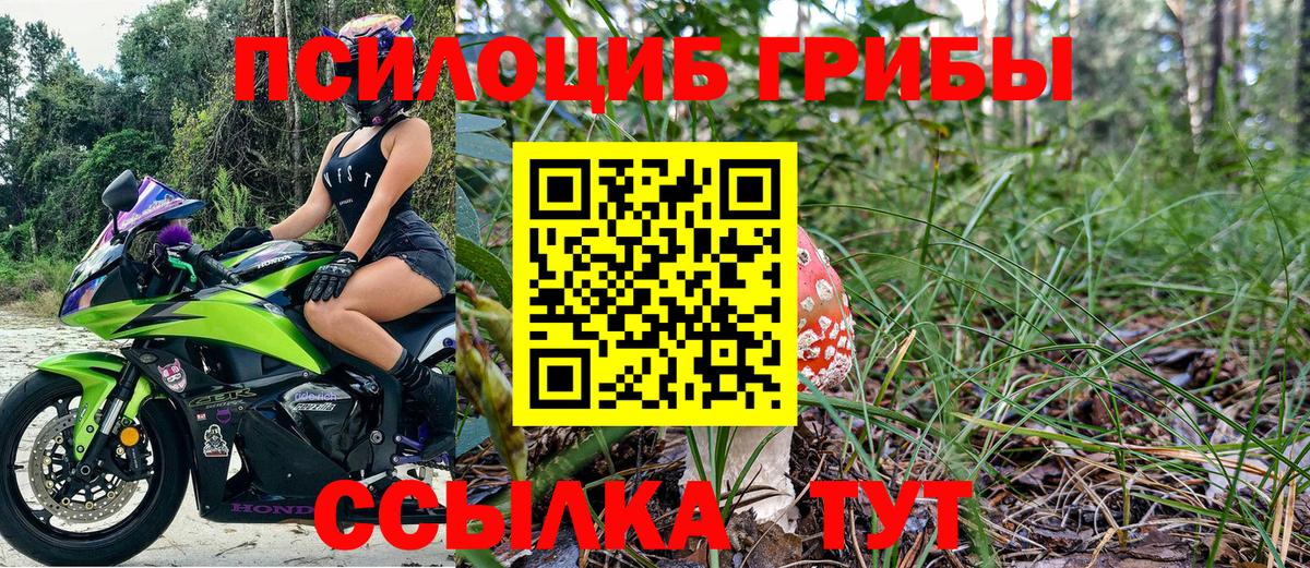 Псилоцибиновые грибы GOLDEN TEACHER  Вход с VPN  Туймазы 